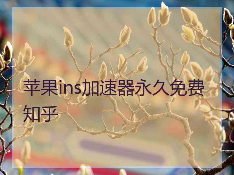 苹果ins加速器永久免费 知乎