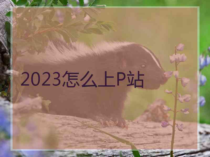 2023怎么上P站