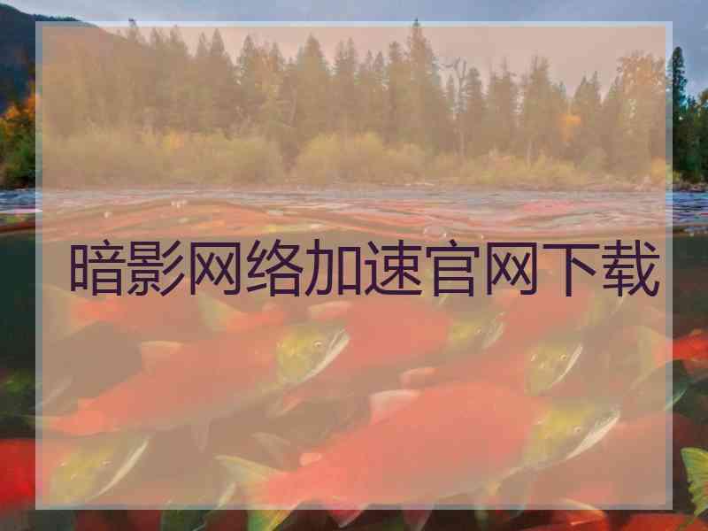 暗影网络加速官网下载