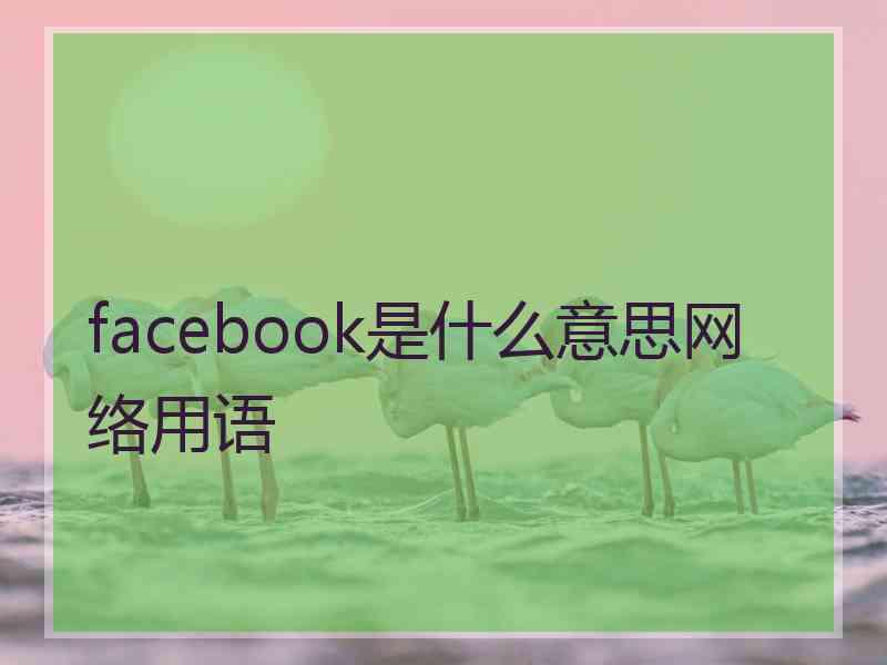 facebook是什么意思网络用语