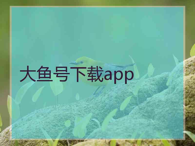 大鱼号下载app