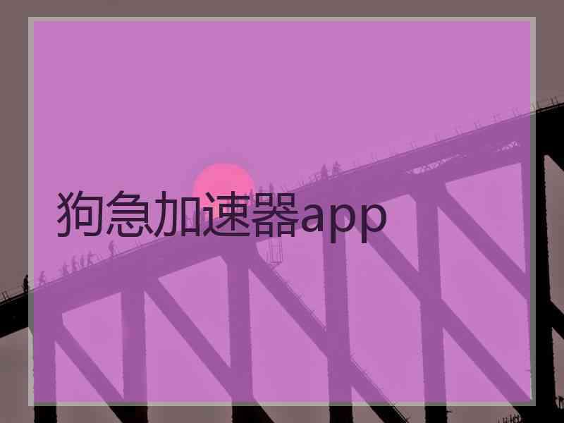 狗急加速器app