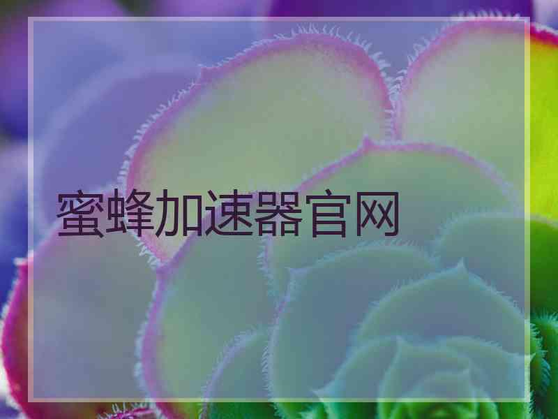 蜜蜂加速器官网