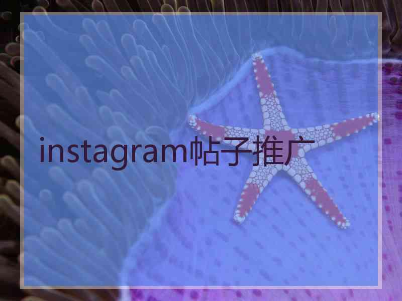 instagram帖子推广