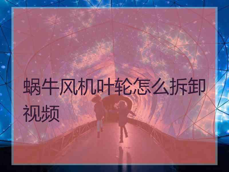 蜗牛风机叶轮怎么拆卸视频