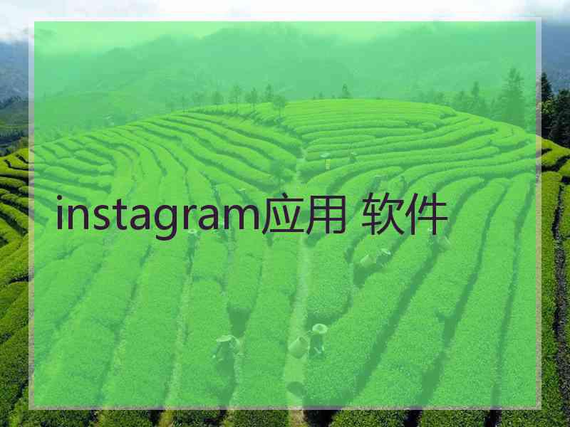 instagram应用 软件