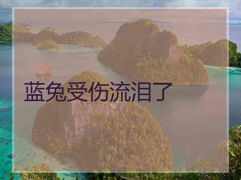 蓝兔受伤流泪了