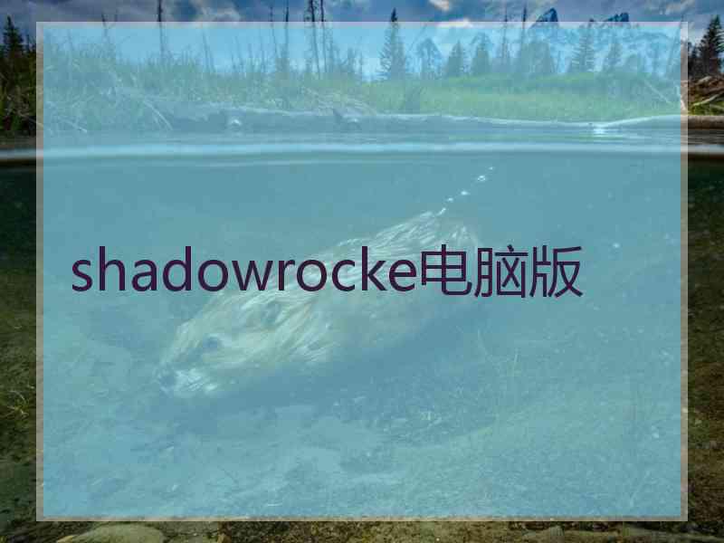 shadowrocke电脑版