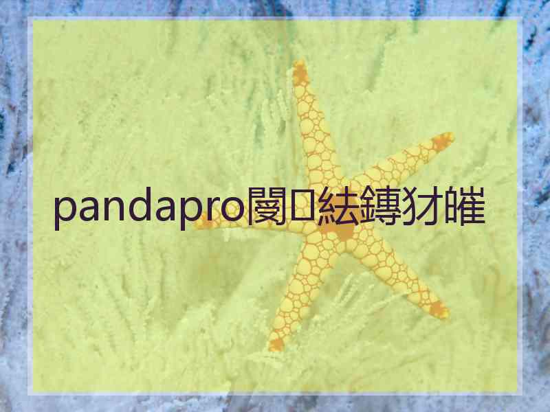 pandapro閿紶鏄犲皠