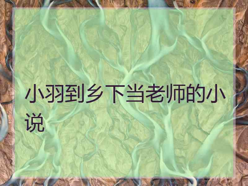 小羽到乡下当老师的小说