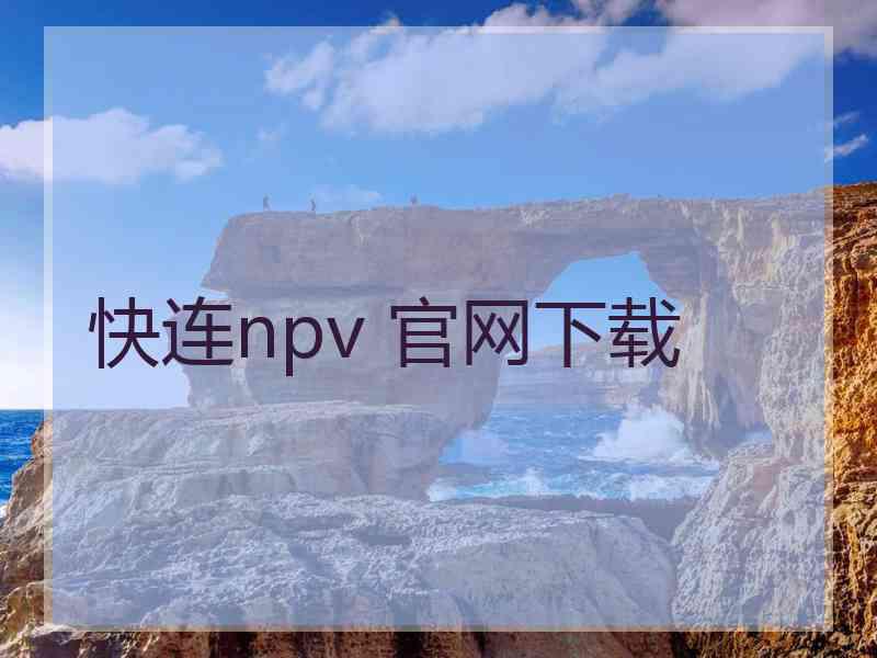 快连npv 官网下载