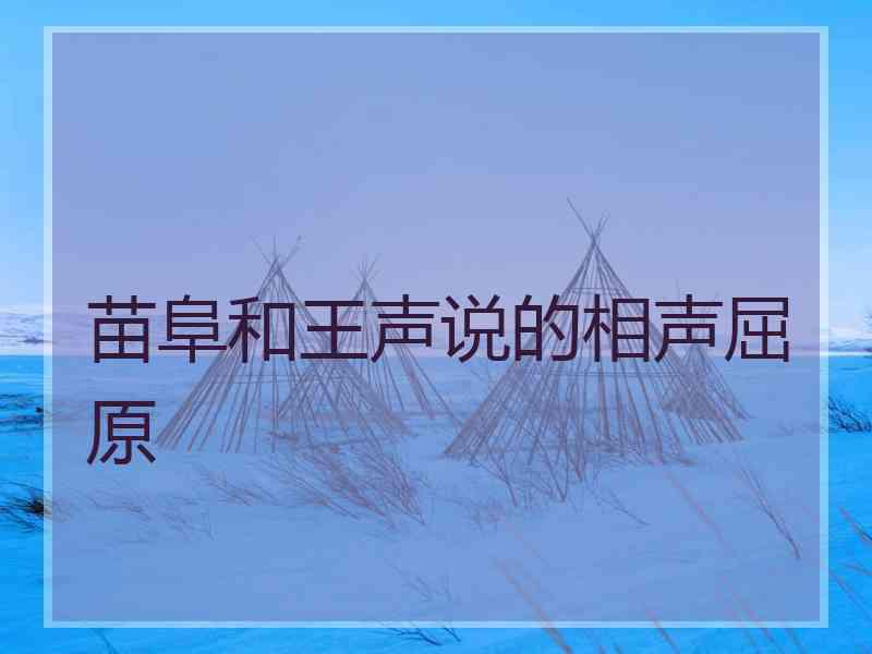 苗阜和王声说的相声屈原