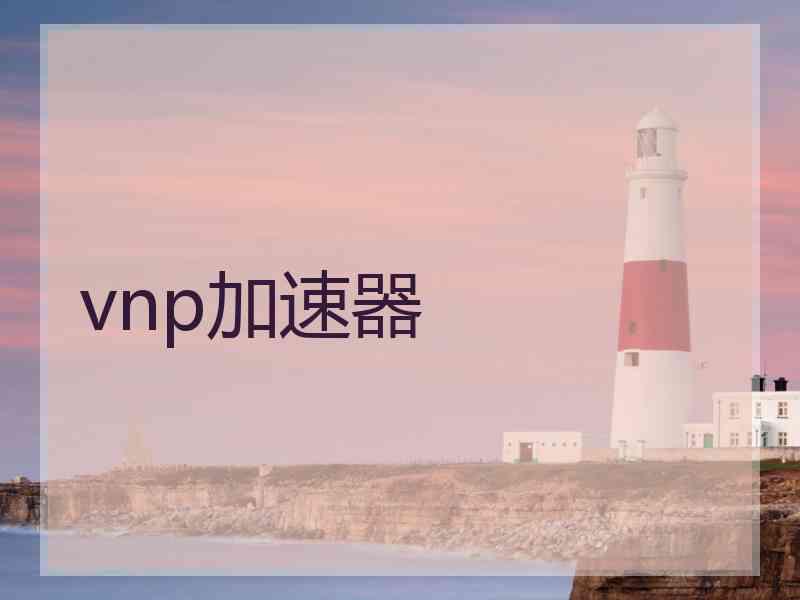 vnp加速器