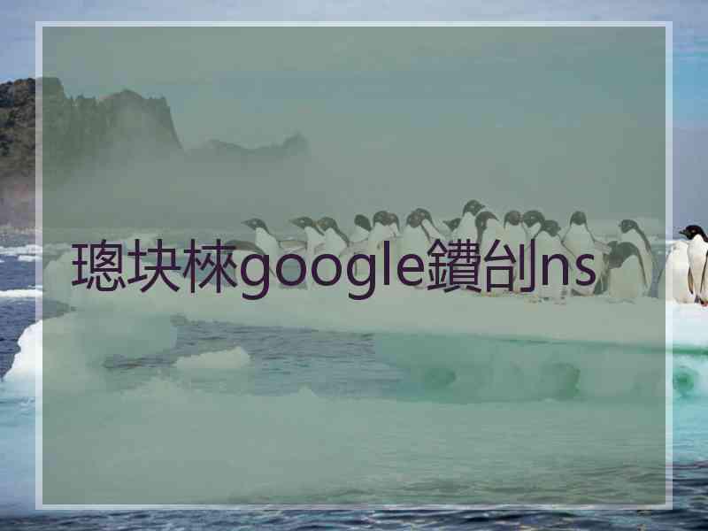 璁块棶google鐨刣ns