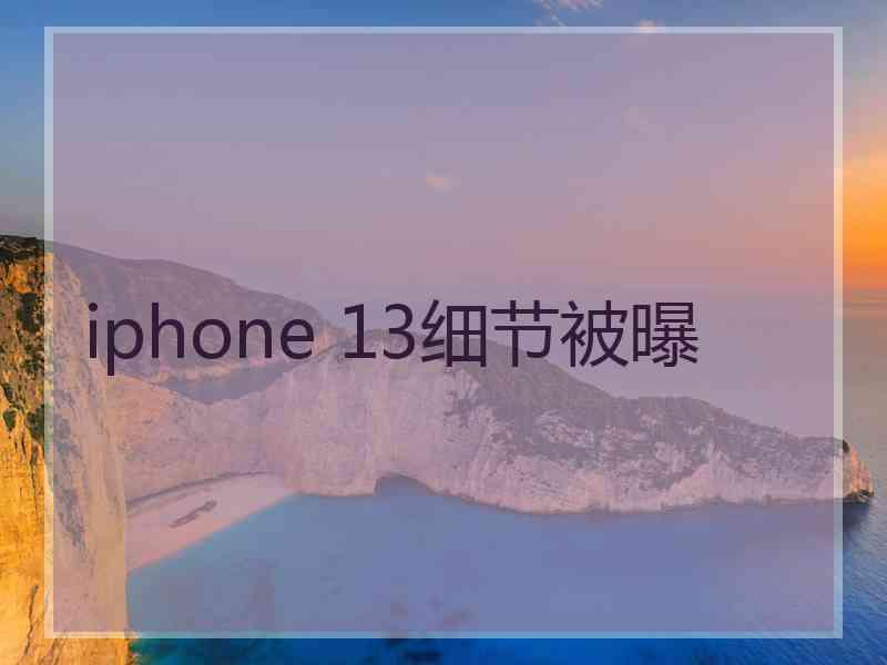 iphone 13细节被曝