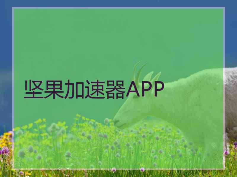 坚果加速器APP