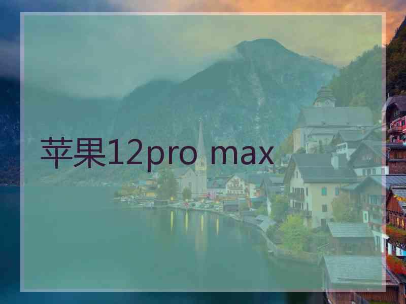 苹果12pro max