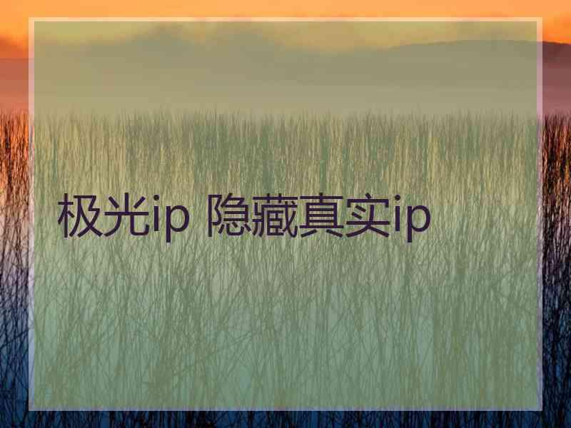 极光ip 隐藏真实ip