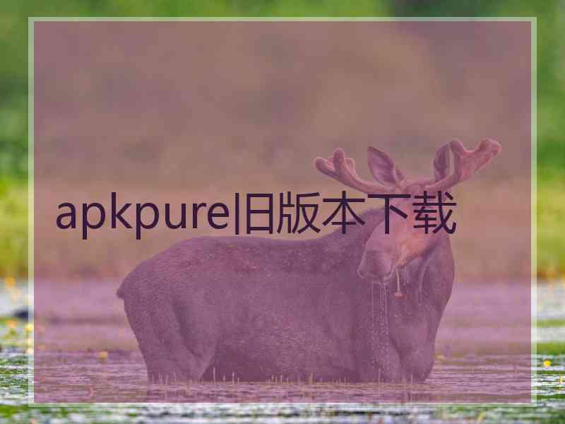 apkpure旧版本下载