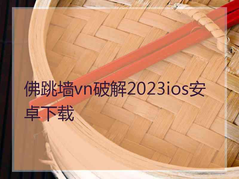 佛跳墙vn破解2023ios安卓下载