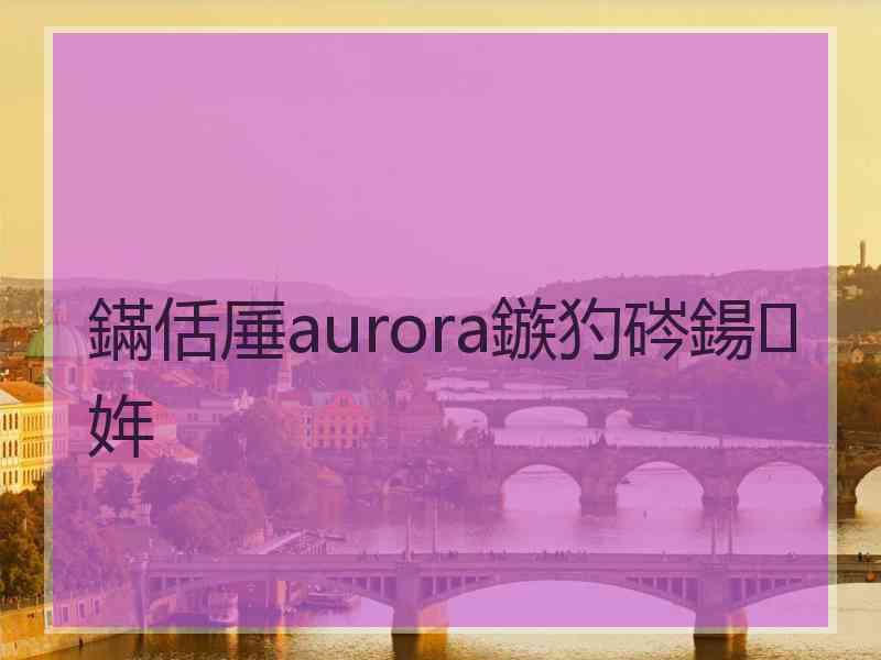 鏋佸厜aurora鏃犳硶鍚姩