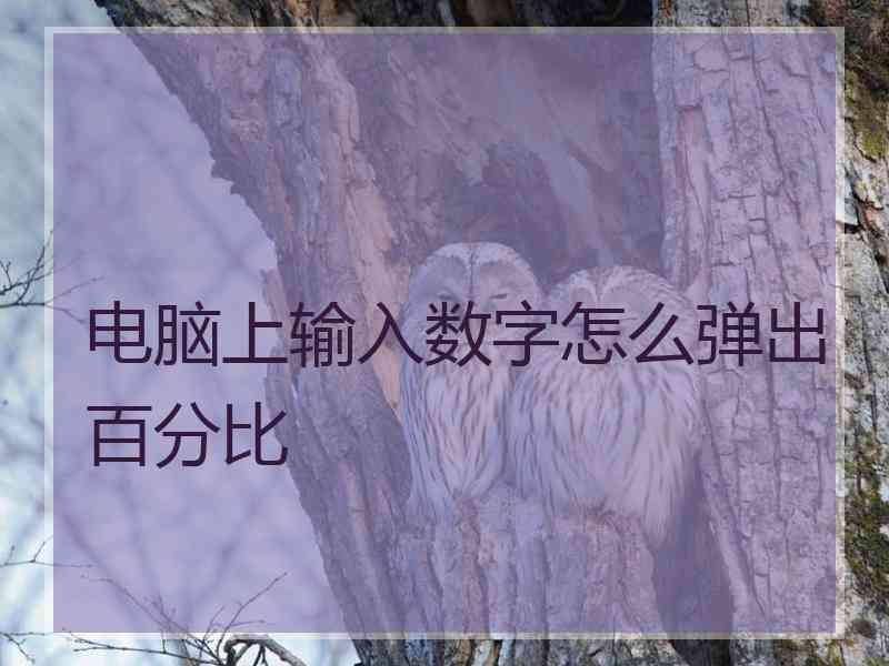 电脑上输入数字怎么弹出百分比