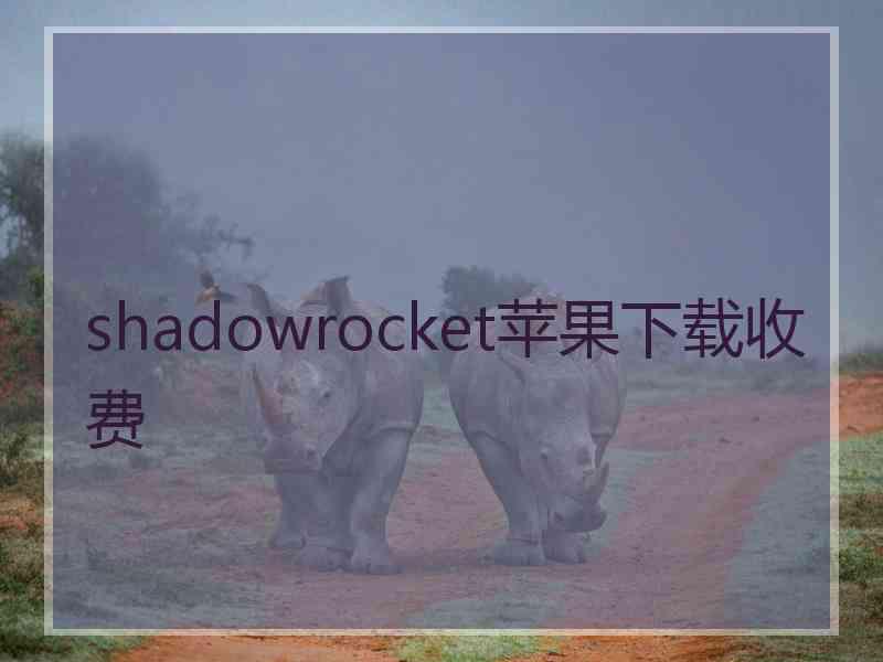 shadowrocket苹果下载收费