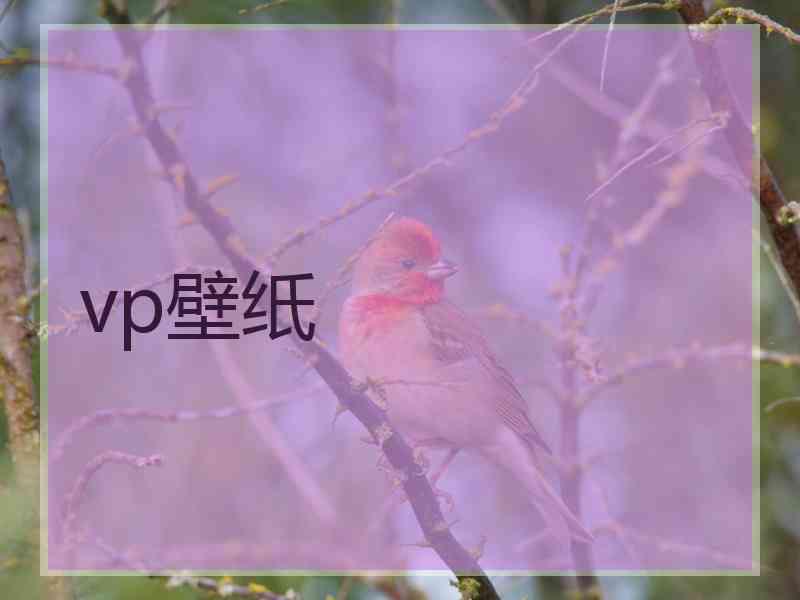 vp壁纸