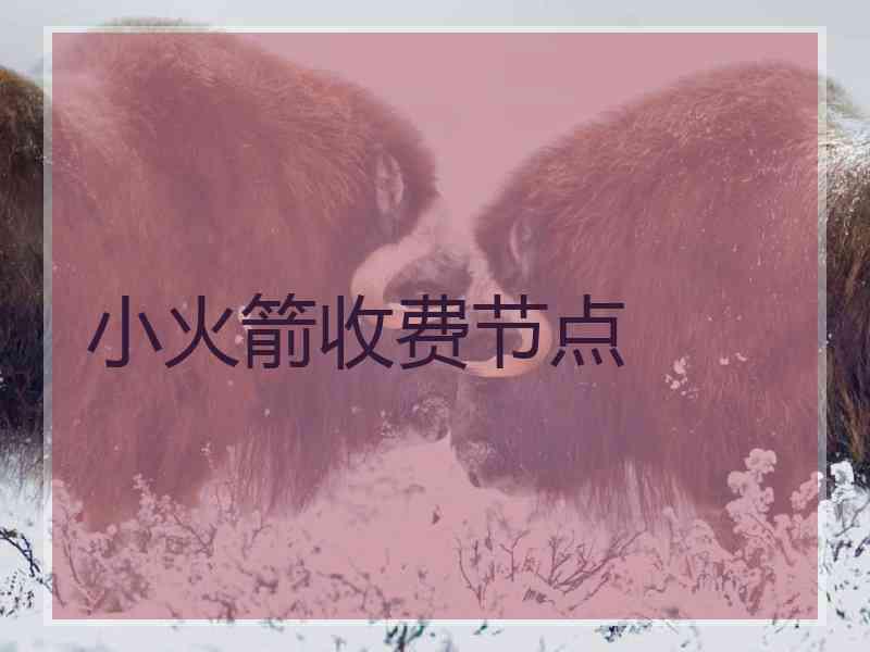 小火箭收费节点