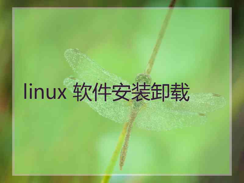 linux 软件安装卸载