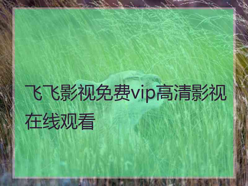 飞飞影视免费vip高清影视在线观看