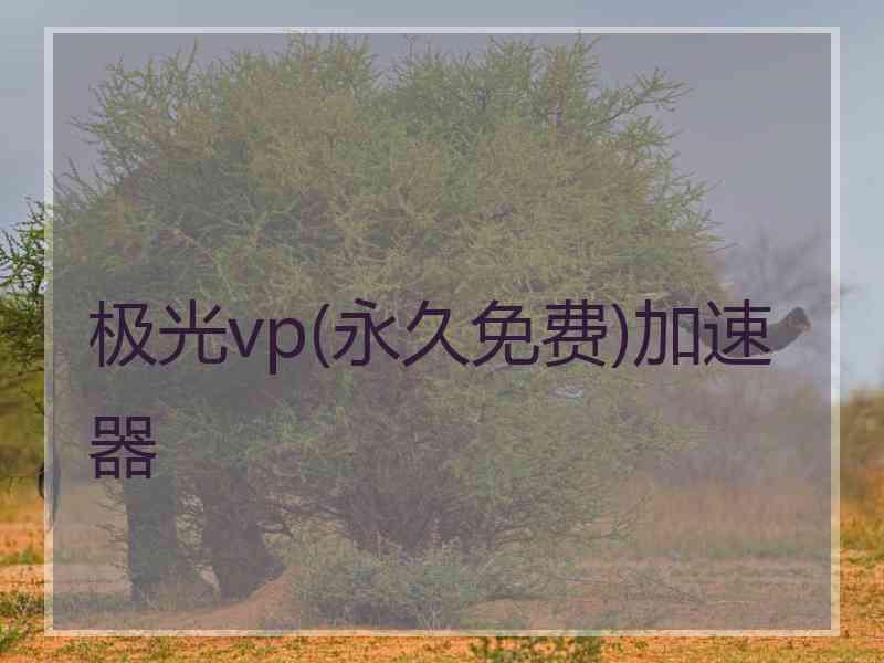 极光vp(永久免费)加速器