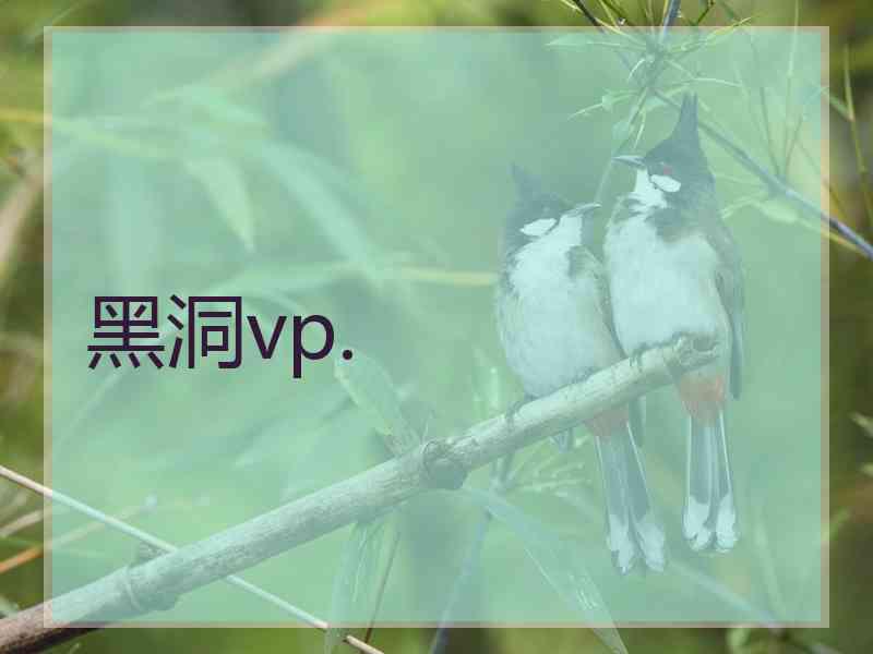 黑洞vp.