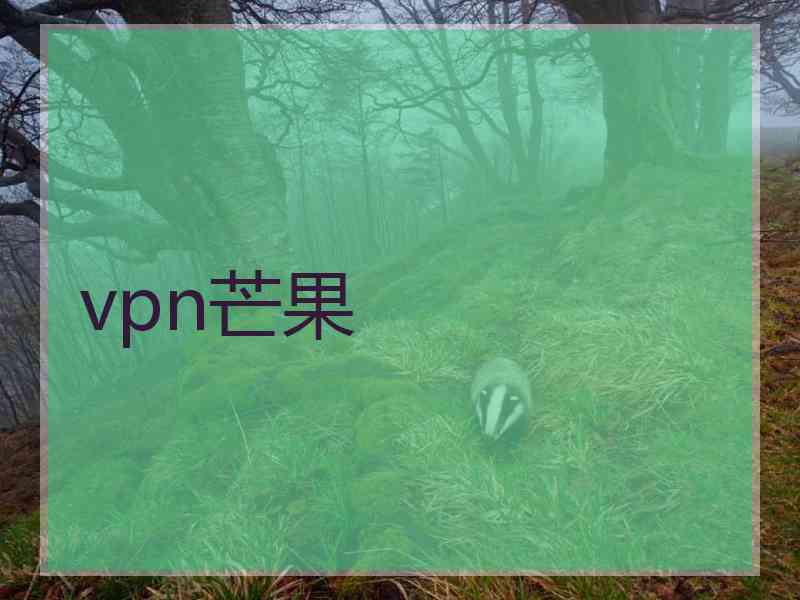 vpn芒果