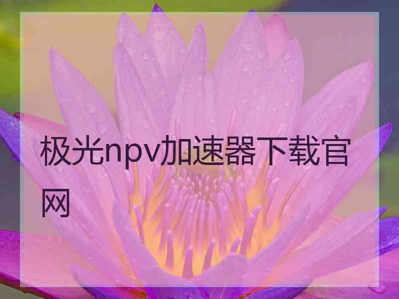 极光npv加速器下载官网