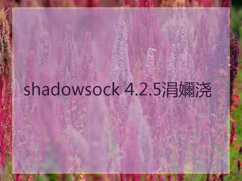 shadowsock 4.2.5涓嬭浇