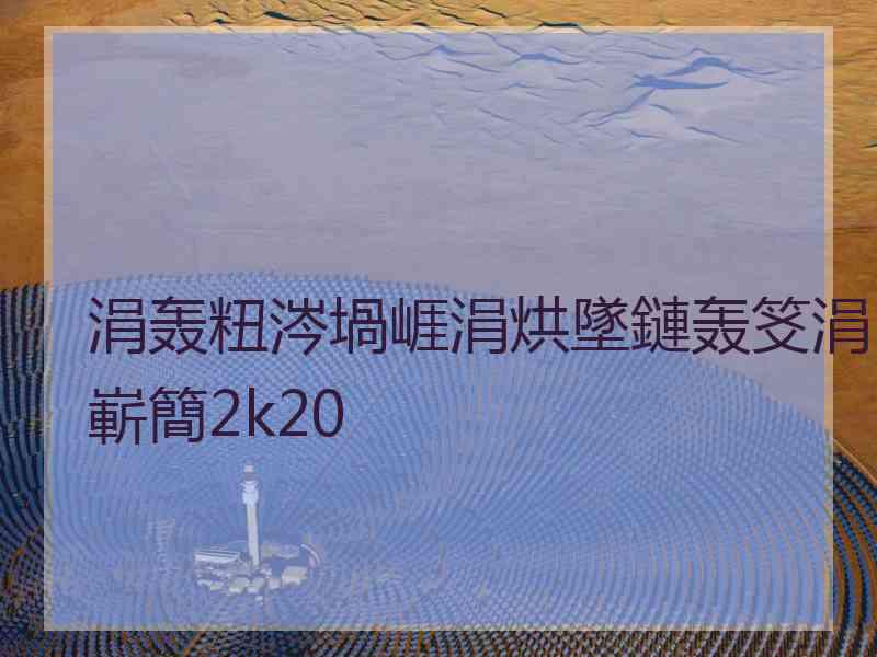 涓轰粈涔堝崕涓烘墜鏈轰笅涓嶄簡2k20