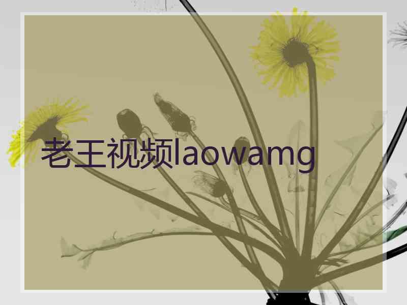 老王视频laowamg