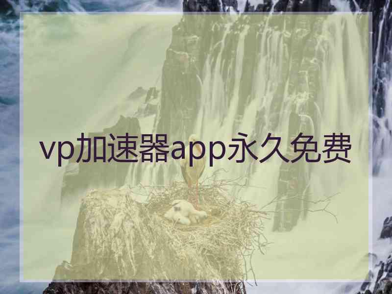 vp加速器app永久免费