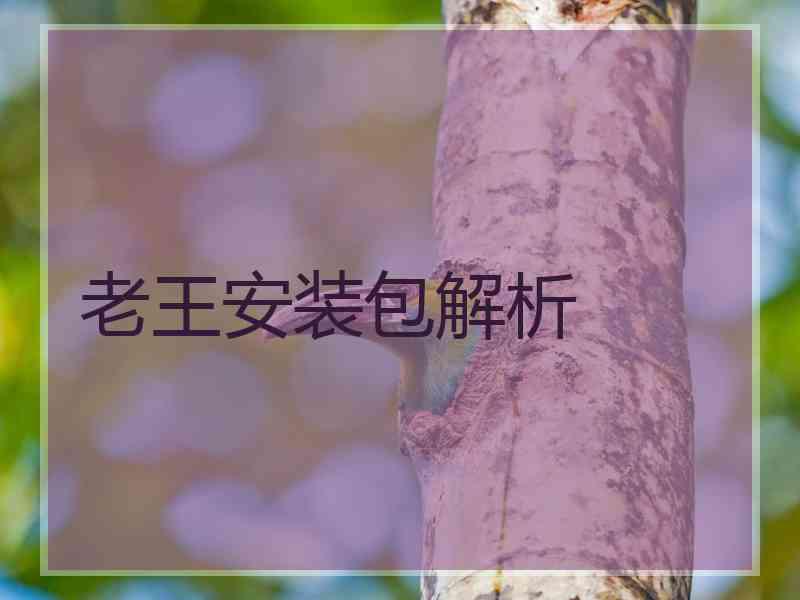 老王安装包解析