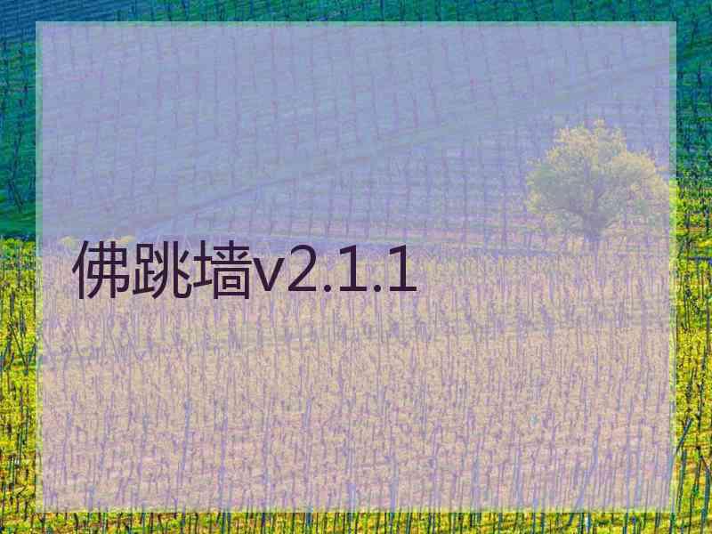 佛跳墙v2.1.1