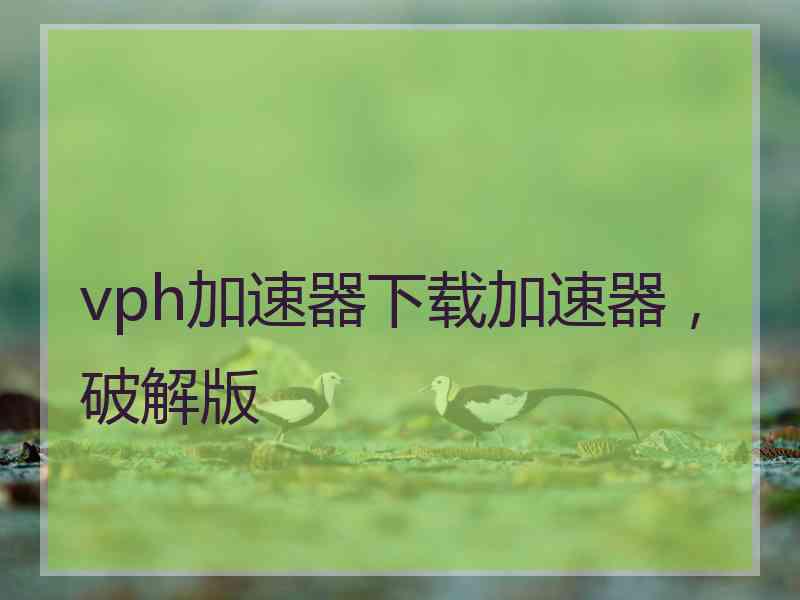 vph加速器下载加速器，破解版