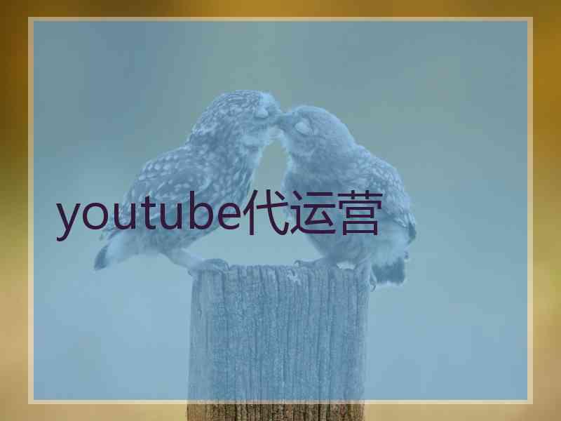 youtube代运营