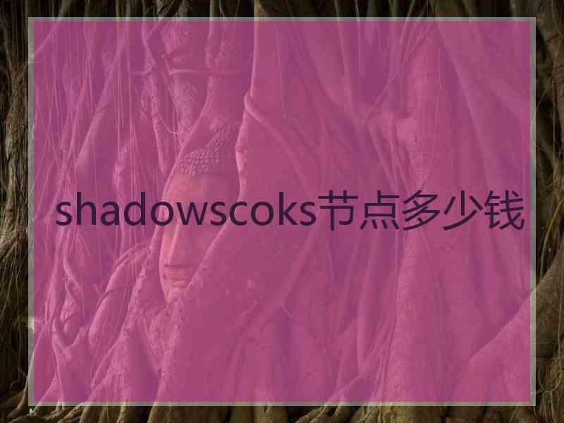 shadowscoks节点多少钱