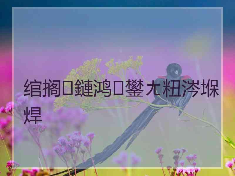 绾搁鏈鸿鐢ㄤ粈涔堢焊