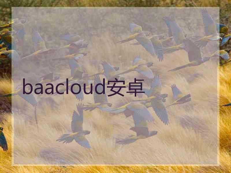 baacloud安卓