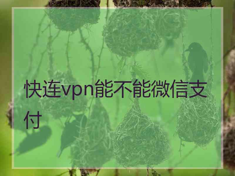 快连vpn能不能微信支付