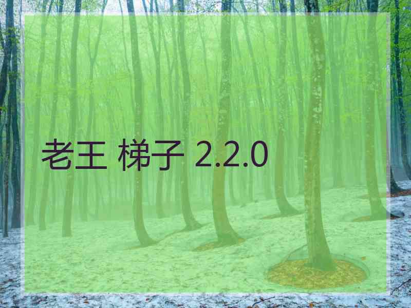 老王 梯子 2.2.0