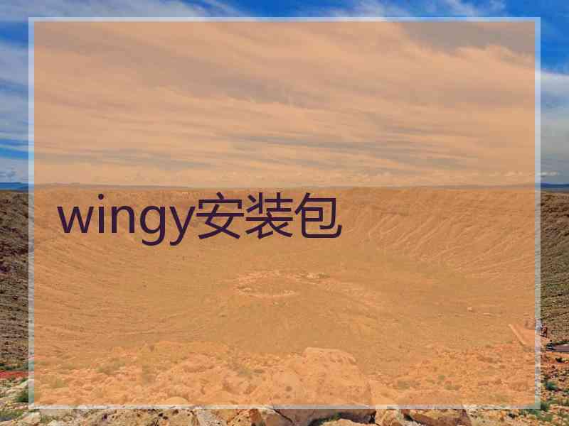 wingy安装包