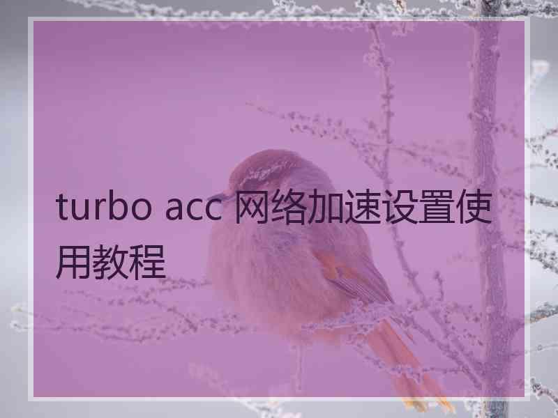 turbo acc 网络加速设置使用教程